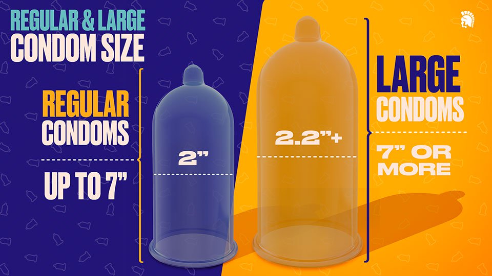 Learn about the measurement differences between regular and large size condoms